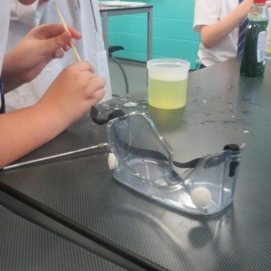 tsa_ScienceClub (30)